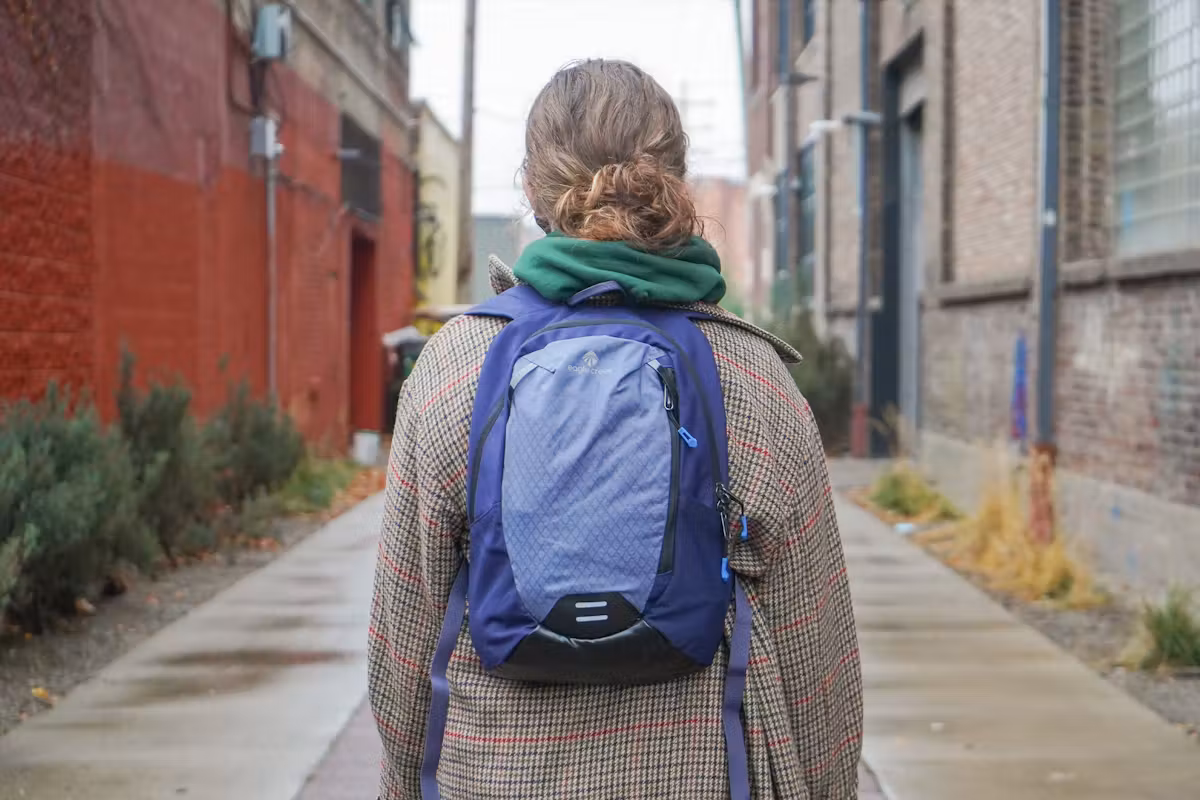 底特律的 Eagle Creek Wayfinder Backpack Mini