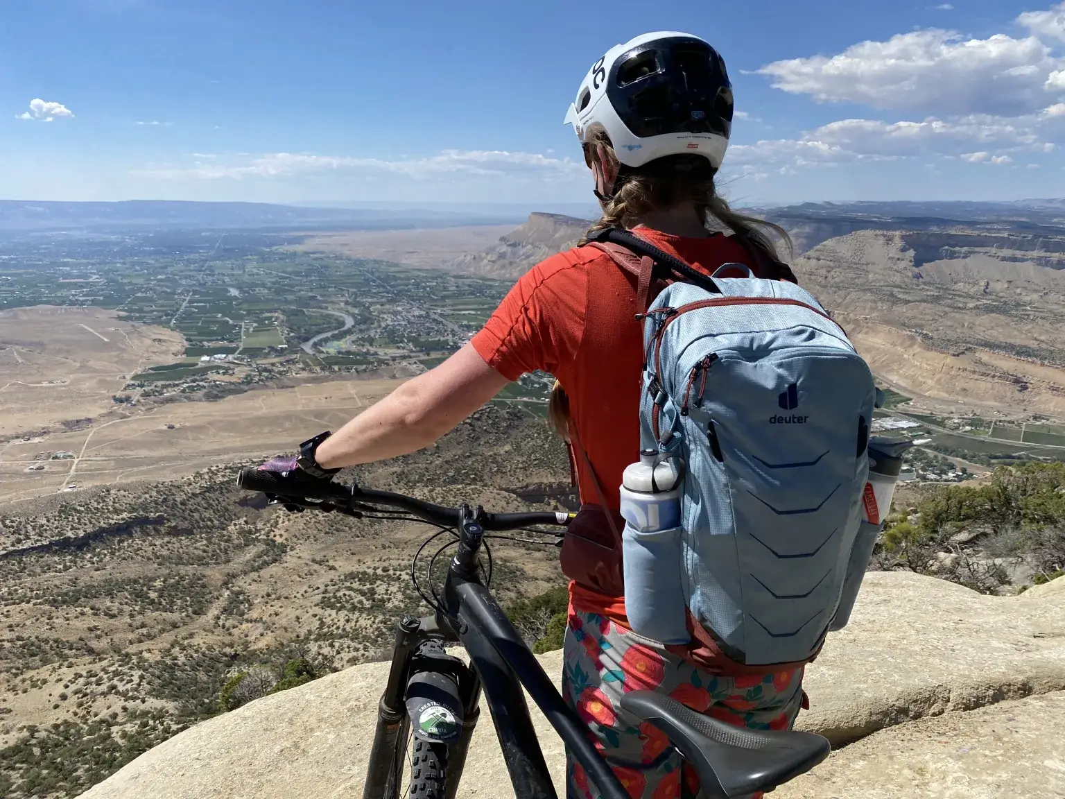 Deuter Flyt 自行车背包 后视图 Deuter Flyt 自行车背包 后视图