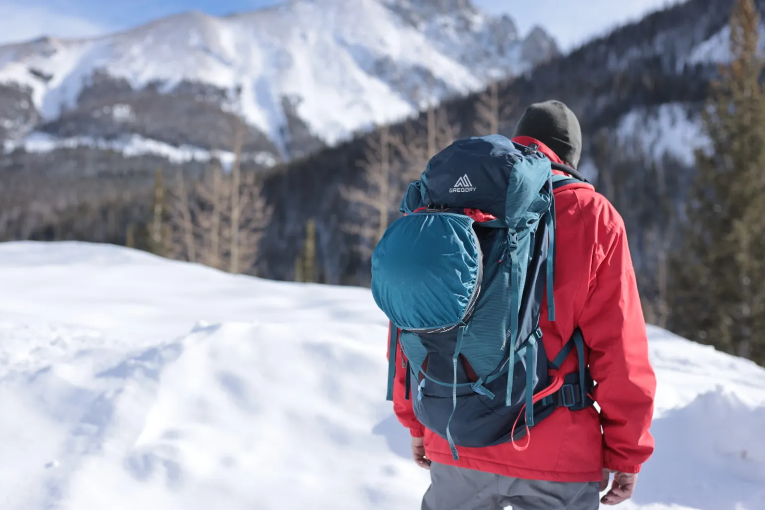 Gregory Targhee FastTrack Pack 后视图 Gregory Targhee FastTrack Pack 后视图