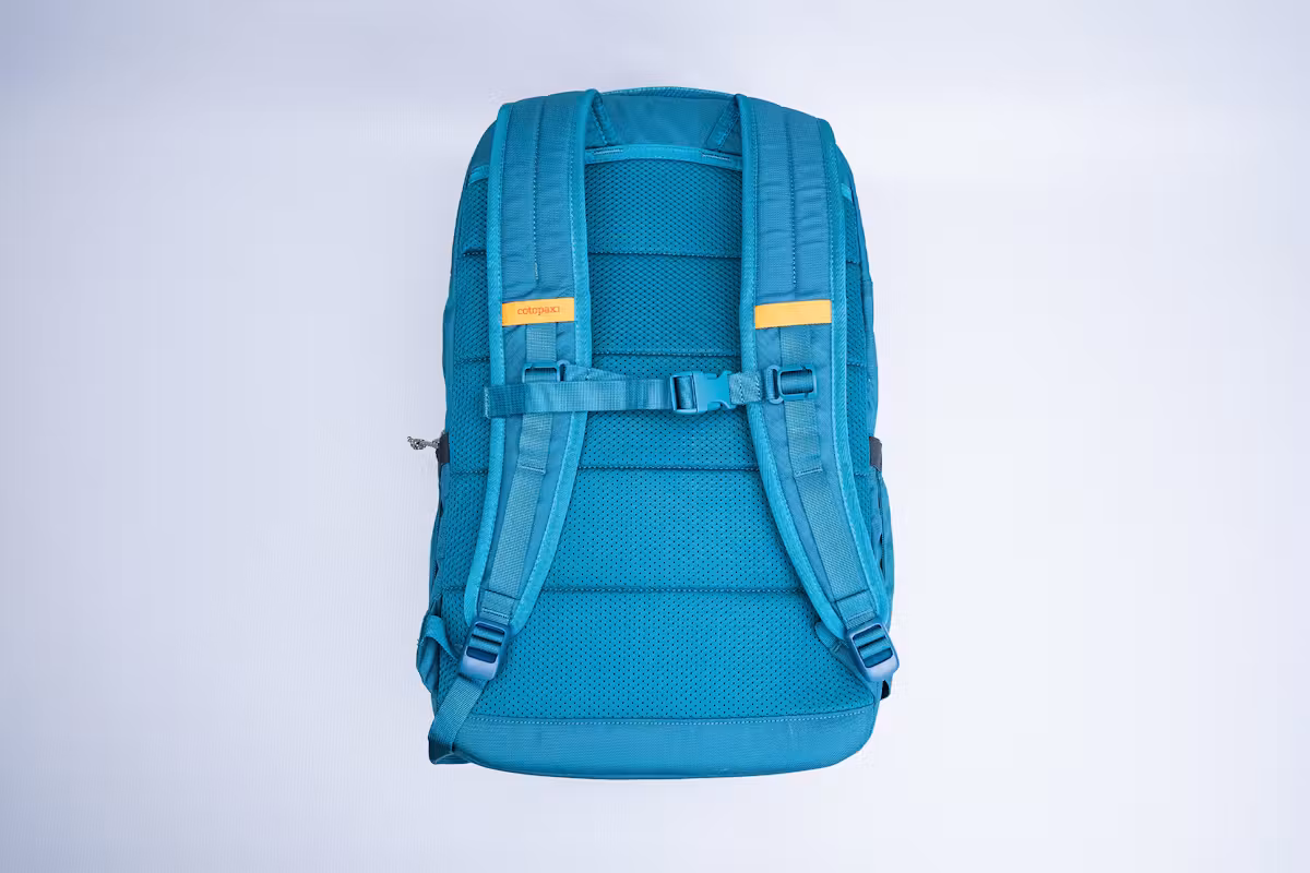 Cotopaxi Chiquillo 30L 背包 (Cada Dia) 背负系统