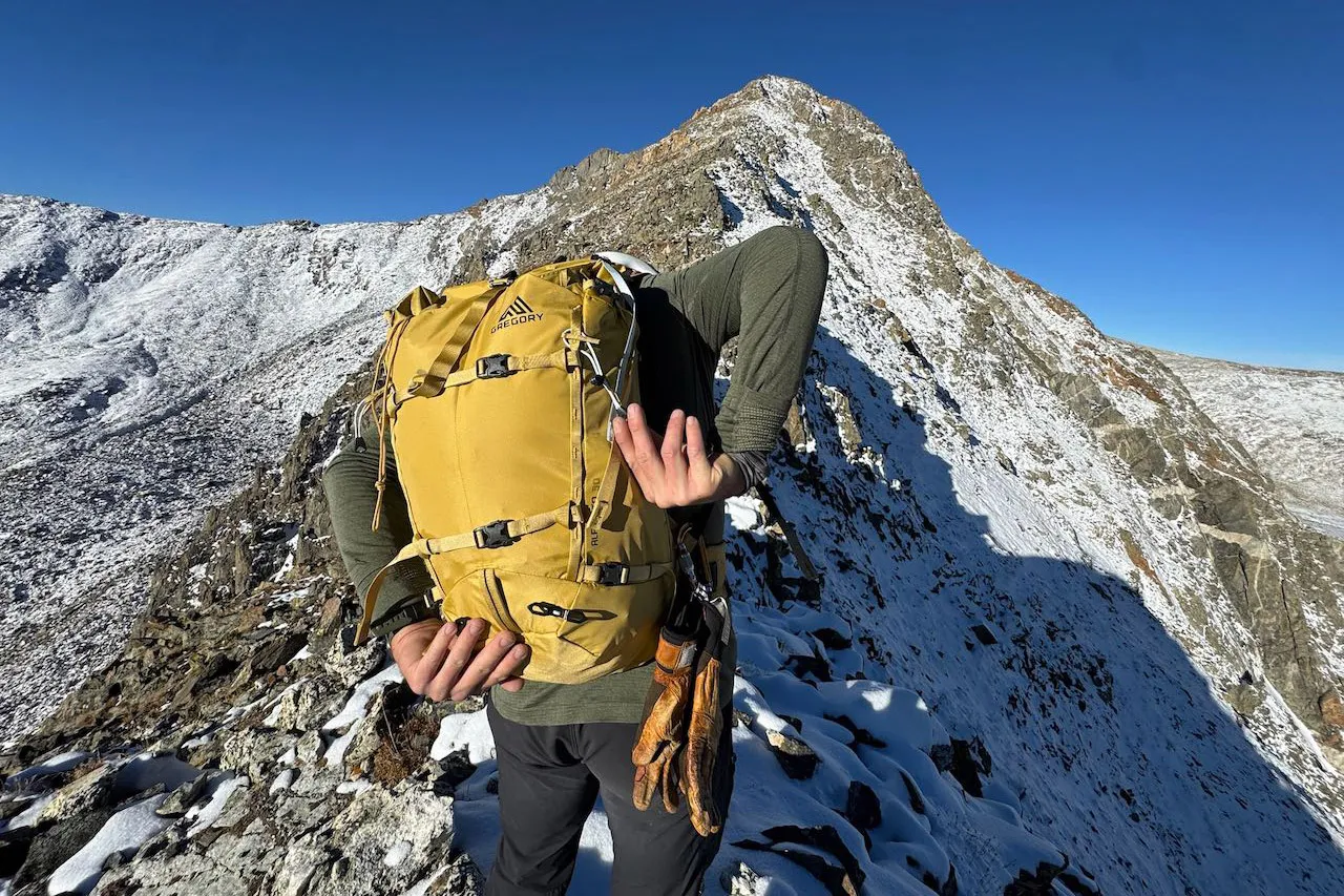 Gregory Alpinisto 30 背包后视图