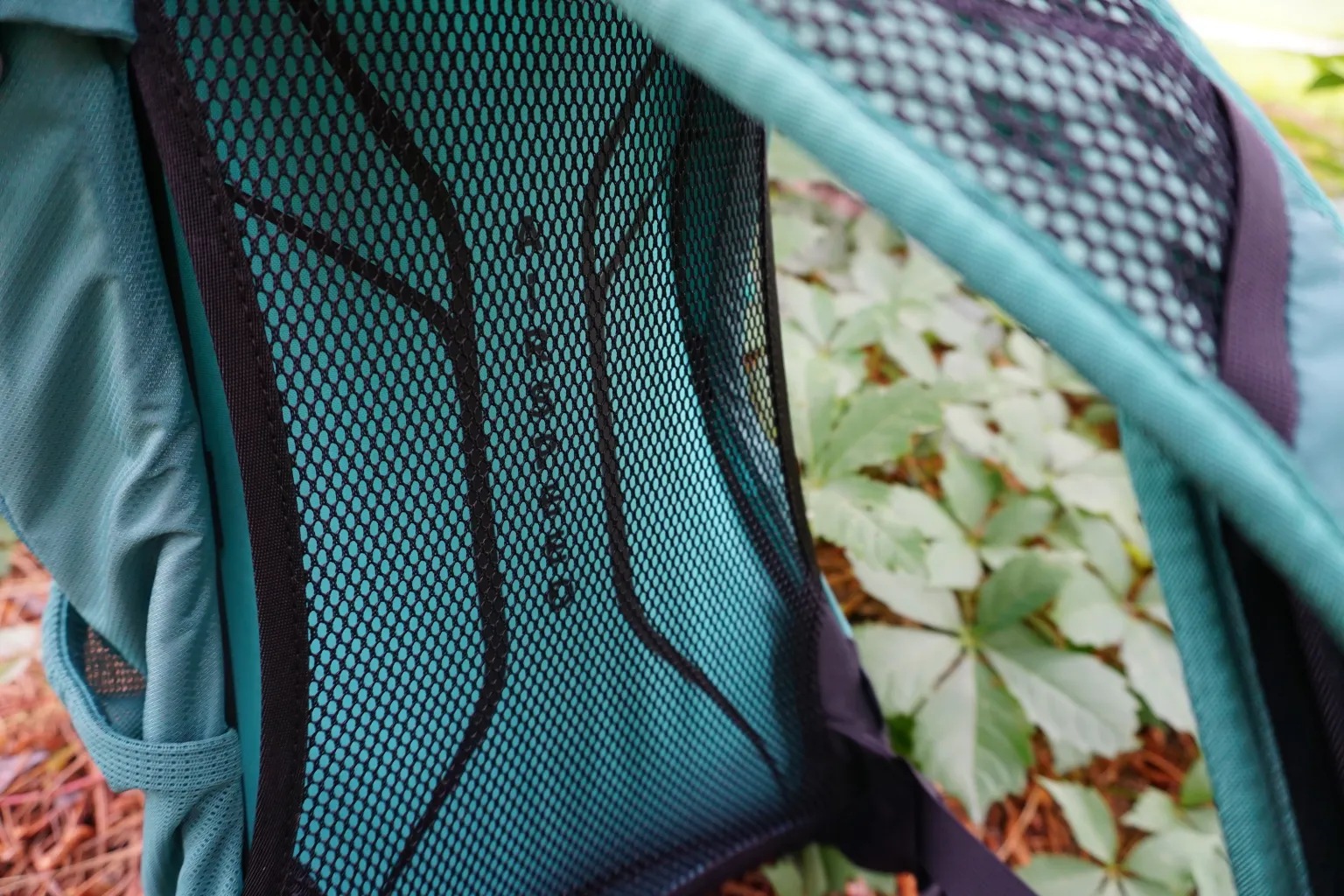 Osprey Hikelite 18L 背包的背板 Osprey Hikelite 18L 背包的背板